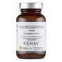 KENAY Andrographis ParActin, kapsułki, 60 szt.