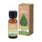 Vera Nord, olejek eteryczny trawa cytrynowa,10 ml