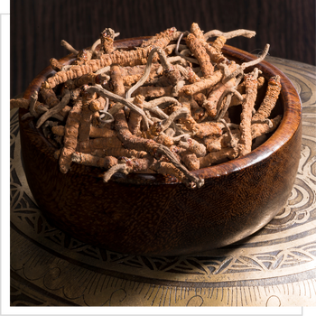 MYQO Cordyceps sinensis Maczużnik chiński, kapsułki, 90 szt.