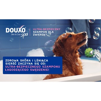 Douxo Spa Itch Soothing Shampoo, szampon łagodzący swędzenie dla psów, 250 ml