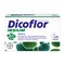 Dicoflor Ibsium, kapsułki, 40 szt.