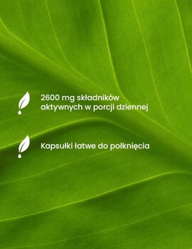 Essensey Glukozamina + Chondroityna + MSM, kapsułki, 120 szt.