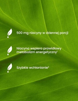 Essensey Niacyna Forte, kapsułki., 120 szt.