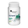Aliness Pycnogenol 50 mg, tabletki, 60 szt.
