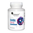 Aliness GABA 750 mg, tabletki, 100 szt.