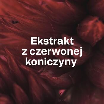 OstroVit Pharma Red Clover, kapsułki, 60 szt.