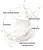 Veoli Botanica Make It Clear, mleczna emulsja oczyszczająca do twarzy, 200 ml