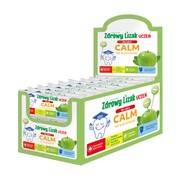 Zdrowy Lizak Uczeń Calm, bez cukru, smak jabłko-mięta, display, 40 szt. https://azcdn.doz.pl/image/d/product/a71499a5-scale-180x180.png