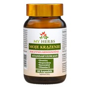Bio Herbs Moje krążenie, kapsułki, 60 szt. https://azcdn.doz.pl/image/d/product/b400ae13-scale-180x180.png