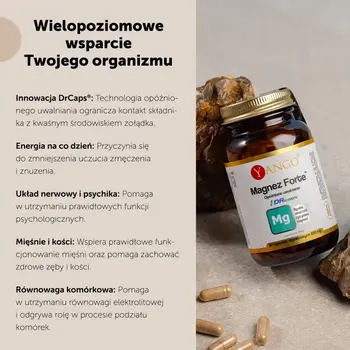 Yango Magnez Forte, kapsułki, 60 szt.