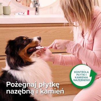 Beaphar pasta do zębów dla psów i kotów, smak mięty i pietruszki, 100 g