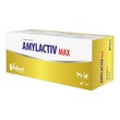 Vetfood Amylactiv Max, preparat enzymatyczny dla psów i kotów, kapsułki, 120 szt.