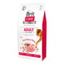 Brit Care Cat Grain-Free Adult Activity Support, karma sucha dla dorosłych kotów wszystkich ras, indyk i kurczak, 2 kg