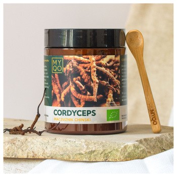 MYQO BIO Cordyceps sinensis Maczużnik chiński, proszek, 100 g