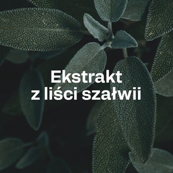 OstroVit Pharma Perspicare, kapsułki, 90 szt.