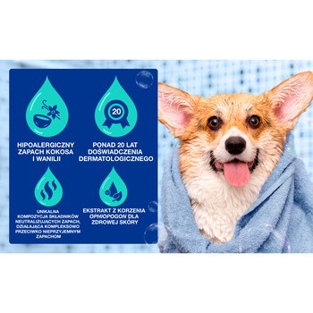 Douxo Spa Odour Control, szampon neutralizujący zapach dla psów, 250 ml