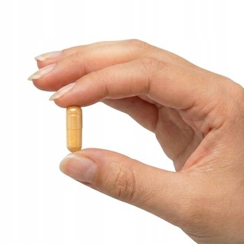 Medso B-Complex 100%, kapsułki, 100 szt.