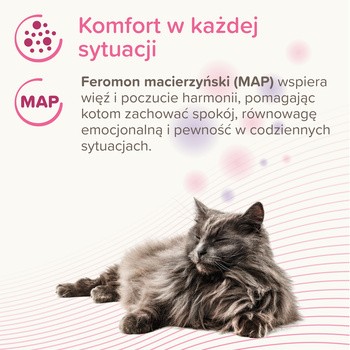 Beaphar CatComfort Calming Spot-On dla kotów, 3 x 0,55 ml