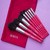 IBRA Makeup Candy, zestaw profesjonalnych pędzli, 8 szt.