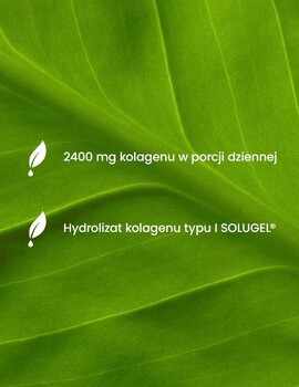 Essensey Kolagen Forte, kapsułki, 120 szt.