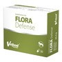 Vetfood Flora Defense, synbiotyk wspierający zdrowie przewodu pokarmowego psów, kapsułki, 30 szt.