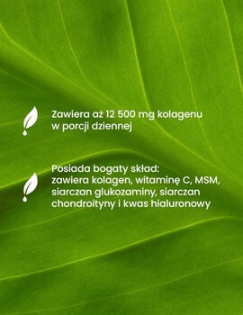 Essensey Kolagen Forte 12 500 mg, proszek, mango - pomarańcza, 400 g