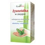 Gorvita, Żyworódka w zasypce, 50 ml