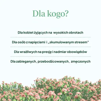 Natu Care Formuła Stres, kapsułki, 60 szt.