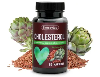 Skoczylas Cholesterol, kapsułki, 60 szt.