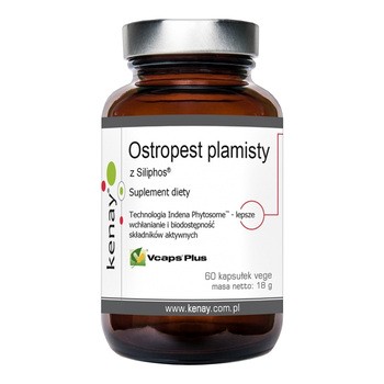 Kenay Ostropest plamisty z Siliphos, kapsułki, 60 szt.