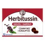 Herbitussin Kaszel i Gardło, pastylki do ssania, 12 szt.