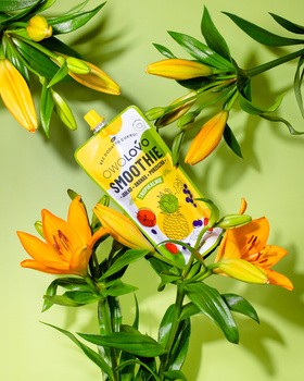 Owolovo Smoothie Jabłko-Ananas-Porzeczka, 250 ml