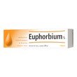 Heel-Euphorbium S, aerozol do nosa, 20 ml