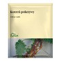Korzeń Pokrzywy, zioła do zaparzania, 50 g