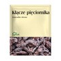 Kłącze pięciornika, zioło pojedyncze, 50 g (Flos)