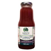 Wiatrowy Sad, sok jabłkowy z czarną porzeczką, 300 ml https://azcdn.doz.pl/image/d/product/d2b168ee-scale-180x180.png