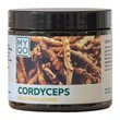 MYQO Cordyceps sinensis Maczużnik chiński, kapsułki, 90 szt.