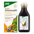 Floradix Ochrona Jelit, płyn, 250 ml