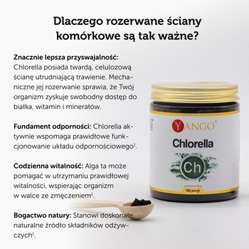 Yango Chlorella, proszek, 100 g