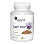 Aliness Czarci Pazur 500 mg, kapsułki, 100 szt.
