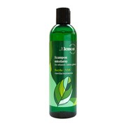 alt Vis Plantis Basil Element, szampon micelarny do włosów i skóry głowy, bazylia + NMF, 300 ml