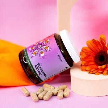 Wellbear Echinacea 400 mg, kapsułki, 60 szt.
