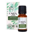 Calea Cosmetics, olejek eteryczny, drzewo herbaciane, 10 ml