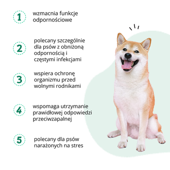 Pet Paw Odporność, preparat wspomagający odporność dla psa, kapsułki twist-off, 60 szt.