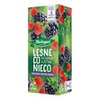 Herbapol Leśne co nieco, torebki, 20 szt.