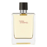 Hermes, Terre d'hermes, woda toaletowa, spray, 100 ml https://azcdn.doz.pl/image/d/product/aa42b905-scale-180x180.png