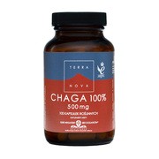 Chaga 100% 500 mg, kapsułki, 100 szt.