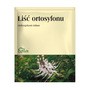 Liść ortosyfonu, zioła do zaparzania, 50 g (Flos)