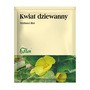 Kwiat dziewanny, zioło pojedyncze, 50 g (Flos)