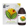 Healthy Herb Zdrowy Zielarz, Witalność, płyn, 250 ml